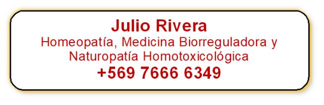 Julio Rivera