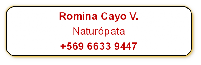 Romina Cayo V.